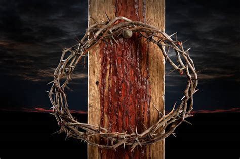 2400 Cross With Crown Of Thorns Stock Photos Pictures And Royalty Free