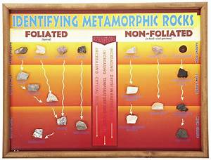 Amazon Com American Educational Identifying Metamorphic Rock Chart