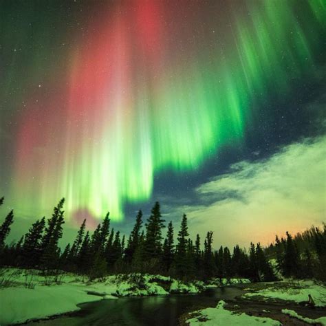 Aurora Borealis An Unbelievable Natural Phenomenon Northern Lights Aurora Borealis Northern