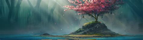 Cherry Blossom Painting Wallpapers Wallpaper Cave