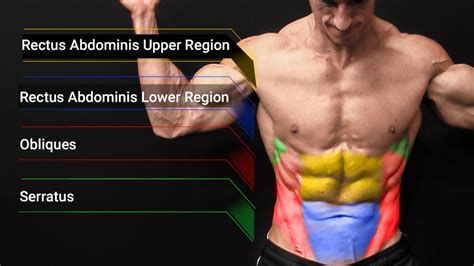 Abs Workouts Best Exercises For Muscle And Strength