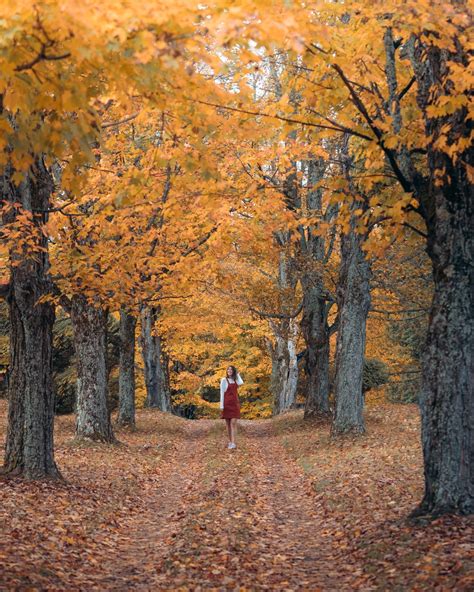 A New England Fall Road Trip For Psl And Fall Color Lovers
