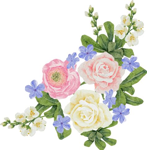 Watercolor Beautiful Pink And White Rose Ranunculus And Blue Plumbago