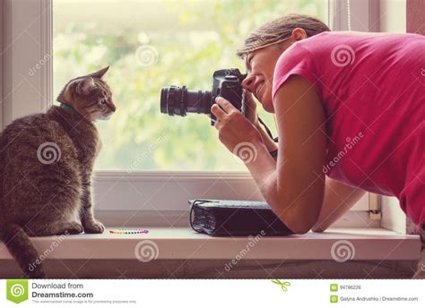 Cat And Photographer Stock Photo Image Of Animal Face 94786226