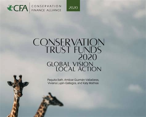 Conservation Trust Funds 2020 A Global Review Wolfscompany