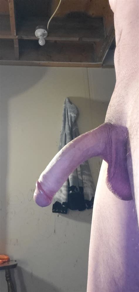 my cock photo album by hornytrucker xvideos