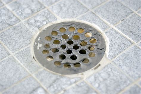 How To Unclog A Shower Drain In Five Simple Steps