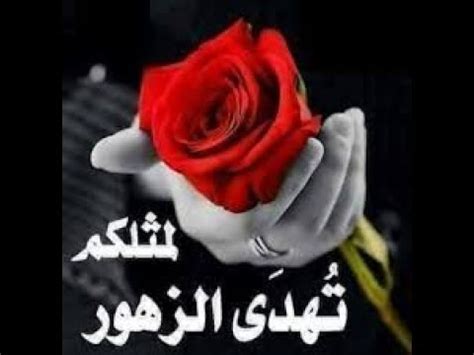 تتوافر دورات مجّانيّة عبر الإنترنت والجوّال. ورود باقات ورد مكتوب عليها كلام جميل