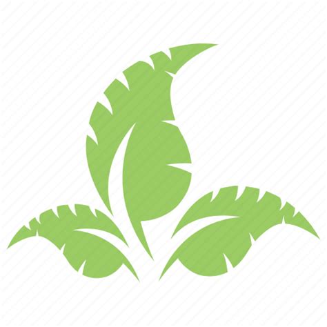 Green leaves, leaf design, leaf logo, leaf shape, three leaves icon