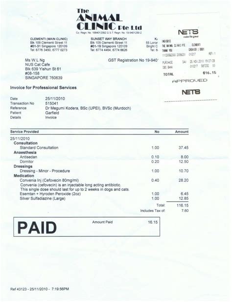 Veterinary Invoice Template Check More At Taguaca