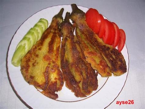 Ayşe'nin Mutfağından Nefis Yemek Tarifleri: Patlican yemekleri tarifleri