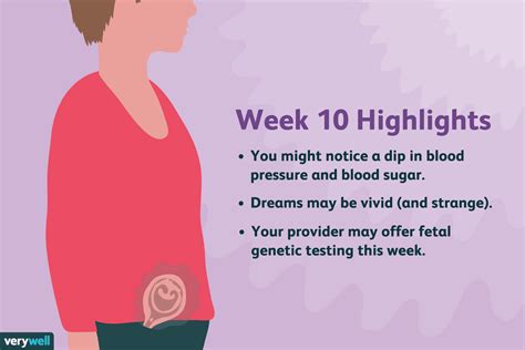 10 work weeks to d conversion. 10 Weeks Pregnant