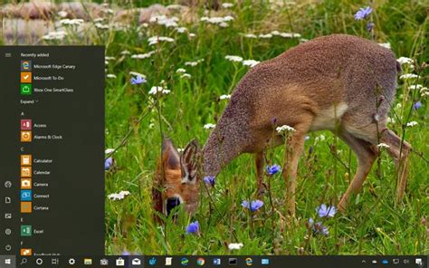 Fauna 3 Theme For Windows 10 Download Pureinfotech