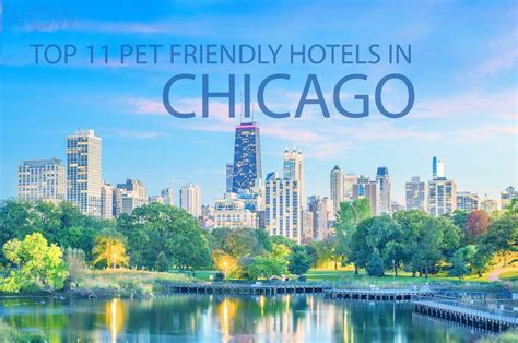 Top 11 Pet Friendly Hotels In Chicago 2023 Wow Travel