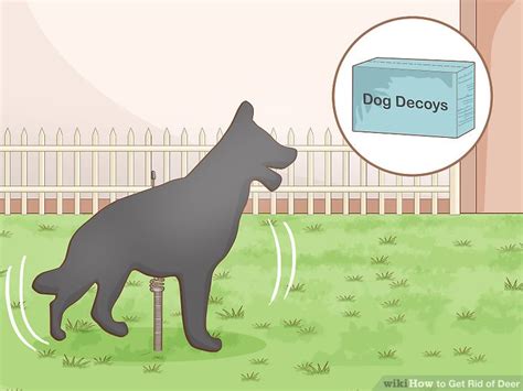 You can easily compare and choose from the 10 best motion sensor deer repellents for you. Learn how to do anything: How to Get Rid of Deer
