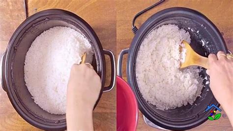 Rinsing Rice 3 Key Facts You Shouldnt Miss