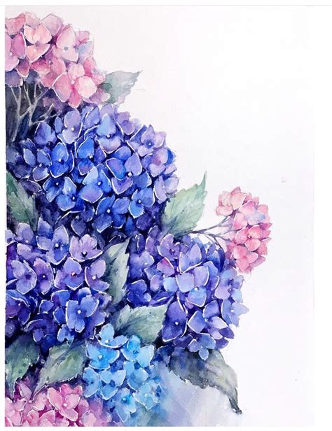 Watercolor Hydrangea On Behance Hydrangea Painting Watercolor