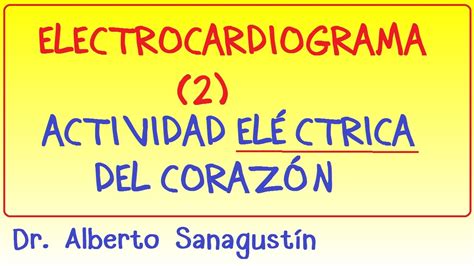 Electrocardiograma 2 Actividad Eléctrica Del Corazón Youtube
