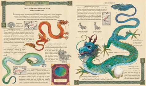 Dragonology The Complete Book Of Dragons Dragonspace T Shop