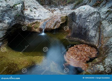 Cascades On A Clear Creek In A Forest Stock Photo Image Of Lake