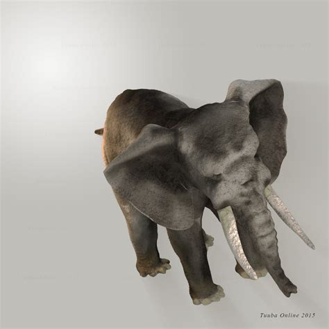 Elefante Modelo 3d 19 Obj Free3d