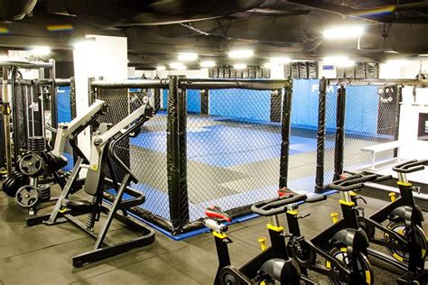 How Much Is A Mma Gym Membership