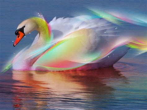 Incredible & Cool Colorful Digital Art Wallpapers