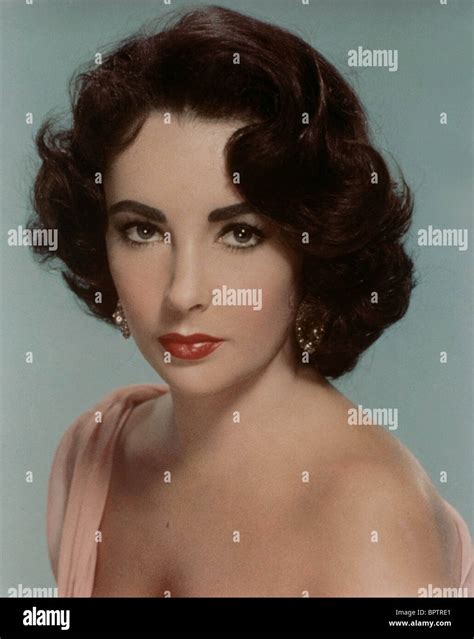 Elizabeth Taylor Actress 1955 Stock Photo Alamy