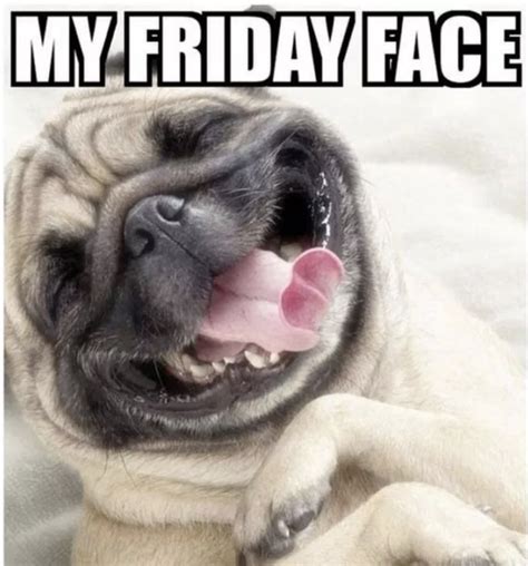Memes About Friday Over Funny Friday Memes To Lol At