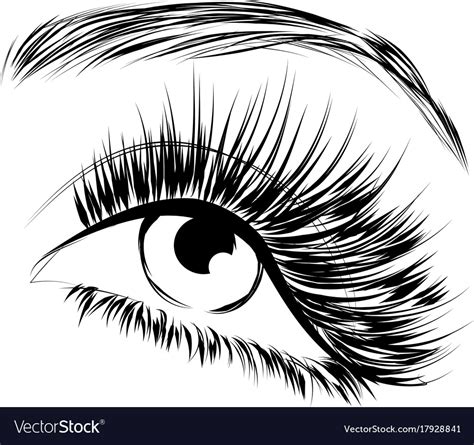 female eye drawing long eyelashes royalty free vector image