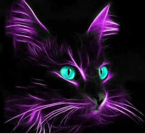 Pin By Margie On Purple Passion Cat Art Cats Art Drawing Black Cat Art