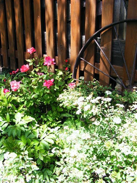 22 Wagon Wheel Flower Garden Ideas You Must Look Sharonsable