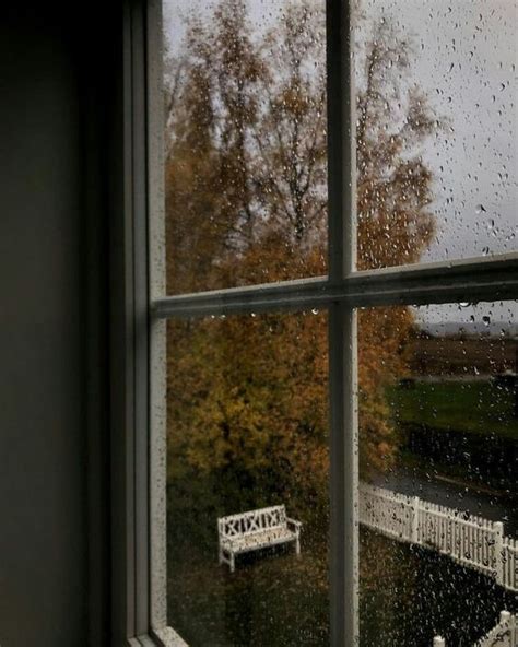 Rainy Window Rainy Days Autumn Cozy Rainy Window
