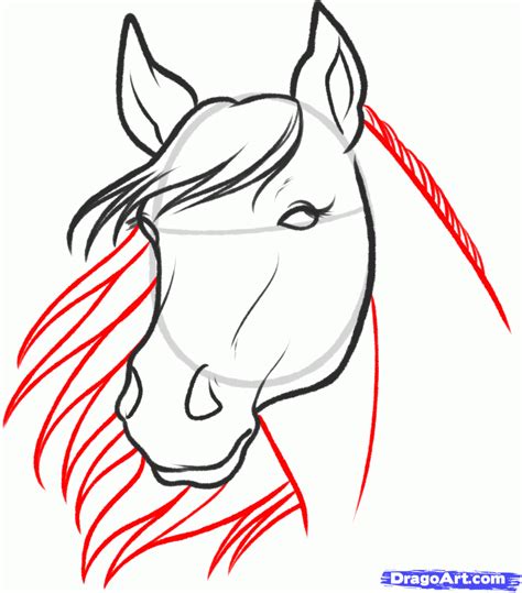 Start by drawing the head. Welcome to Horlammy™ Blog: Steps in Drawing a Horse