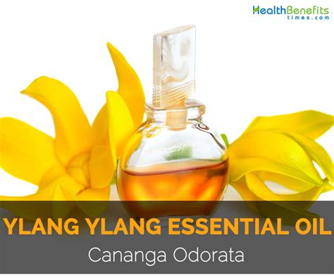ylang ylang essential oil facts and health benefits
