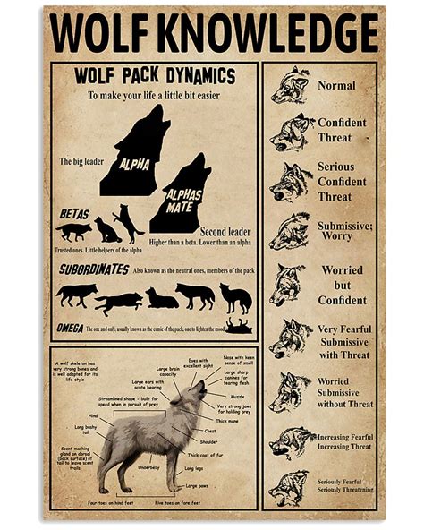 Wolf Pack And Anatomy Knowledge