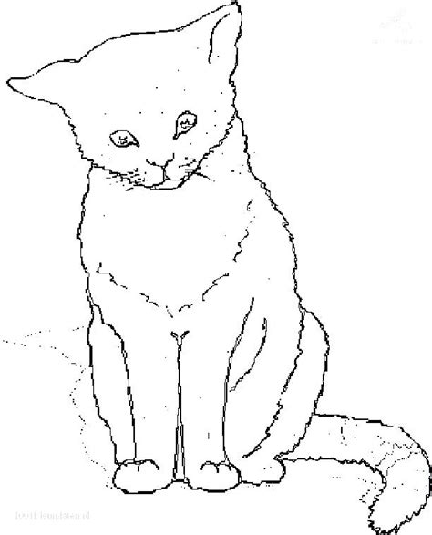 Realistic Cat Coloring Pages At Free Printable