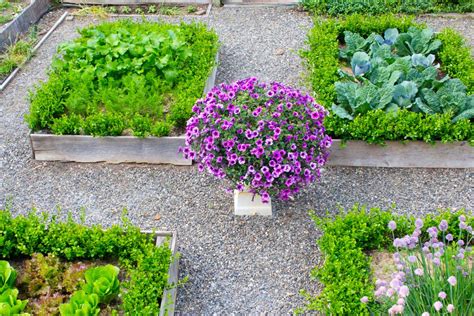 Find photos of herb garden. Kevin's Herb Garden Design: The Video! - Kevin Lee Jacobs