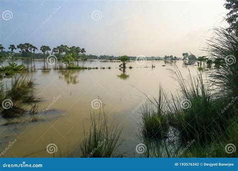 The Landscape Of Flooded Vast Wetlands After Heavy Rain In West Stock