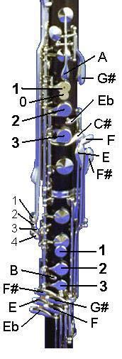 Fingering Scheme For Clarinet The Woodwind Fingering Guide