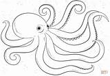 Coloring Octopus Pages Cartoon Printable Drawing sketch template
