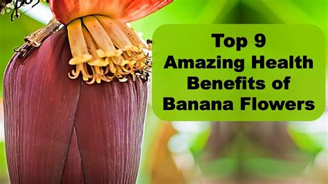 Top 9 Amazing Health Benefits Of Banana Flowers Banana Heart Benefits Youtube