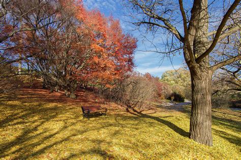 Highland Park Autumn Photograph By Daniel Dangler Fine Art America