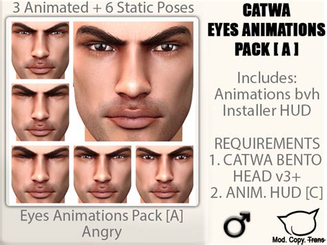 Second Life Marketplace Catwa Anim Male Eyes A