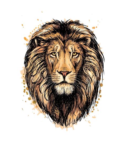 Portrait Of A Lion Head From A Splash Of Watercolor Hand Drawn Sketch