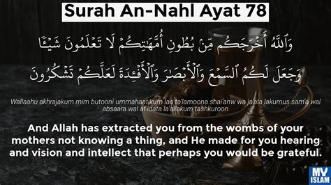 Surah An Nahl Ayat 78 1678 Quran With Tafsir My Islam