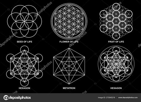 Sacred Geometry Flower Life Seed Life Egg Life Metatrons Cube Stock