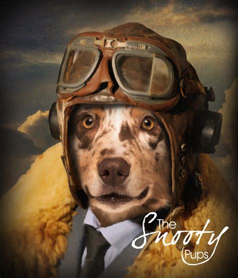 Pilot Dog Portrait Vintage Pilot