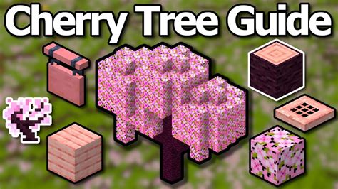 Minecraft Cherry Blossom Update Release Date