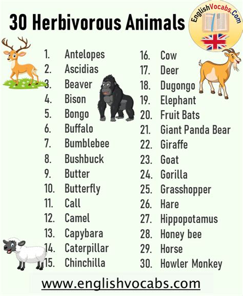 Herbivorous Animals Chart